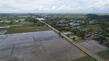 Kedah, Malezya 'nın Paddy Pirinç Tarlaları