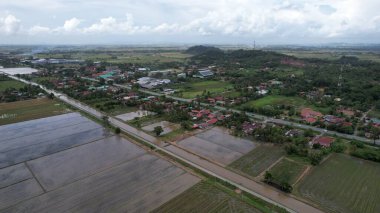 Kedah, Malezya 'nın Paddy Pirinç Tarlaları