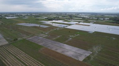 Kedah, Malezya 'nın Paddy Pirinç Tarlaları