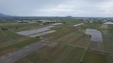 Kedah, Malezya 'nın Paddy Pirinç Tarlaları