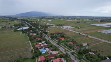Kedah, Malezya 'nın Paddy Pirinç Tarlaları