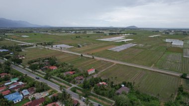 Kedah, Malezya 'nın Paddy Pirinç Tarlaları