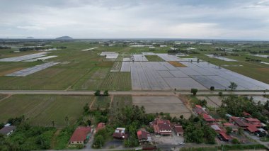 Kedah, Malezya 'nın Paddy Pirinç Tarlaları
