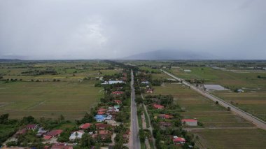 Kedah, Malezya 'nın Paddy Pirinç Tarlaları