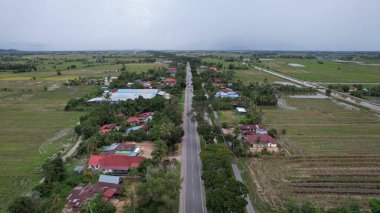 Kedah, Malezya 'nın Paddy Pirinç Tarlaları