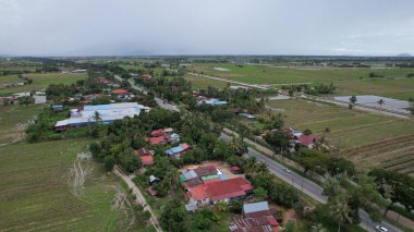 Kedah, Malezya 'nın Paddy Pirinç Tarlaları