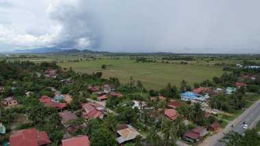 Kedah, Malezya 'nın Paddy Pirinç Tarlaları