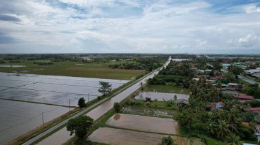 Kedah, Malezya 'nın Paddy Pirinç Tarlaları