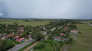 Kedah, Malezya 'nın Paddy Pirinç Tarlaları
