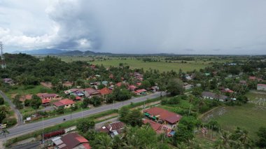 Kedah, Malezya 'nın Paddy Pirinç Tarlaları