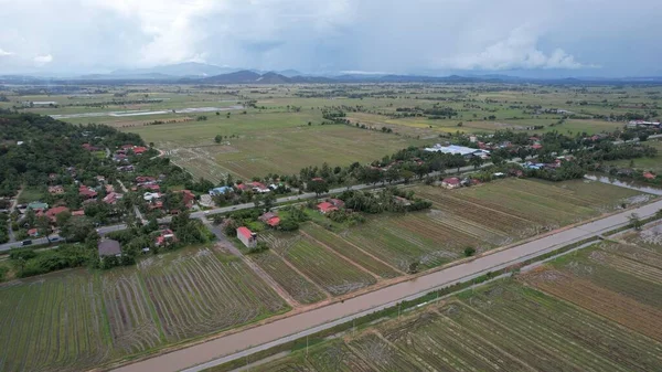 Kedah, Malezya 'nın Paddy Pirinç Tarlaları