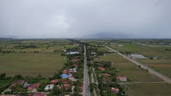 Kedah, Malezya 'nın Paddy Pirinç Tarlaları