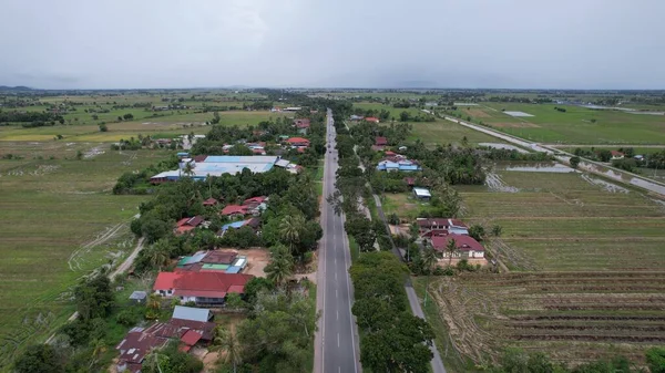 Kedah, Malezya 'nın Paddy Pirinç Tarlaları