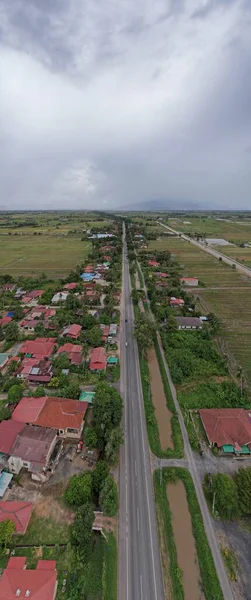 Kedah, Malezya 'nın Paddy Pirinç Tarlaları