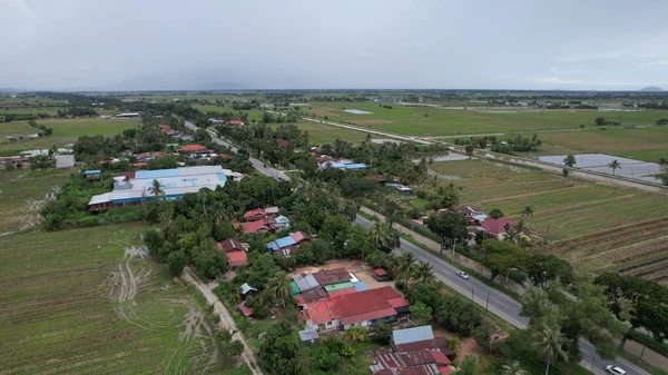 Kedah, Malezya 'nın Paddy Pirinç Tarlaları