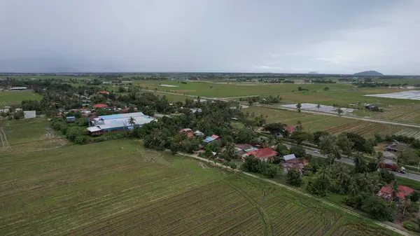 Kedah, Malezya 'nın Paddy Pirinç Tarlaları