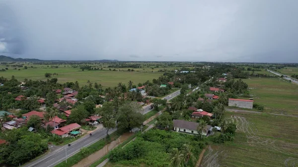 Kedah, Malezya 'nın Paddy Pirinç Tarlaları