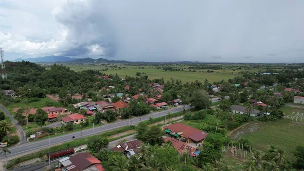 Pola Ryżowe Paddy Kedah Malezja — Zdjęcie stockowe