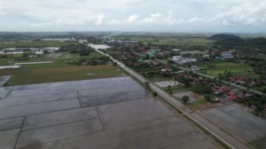 Kedah, Malezya 'nın Paddy Pirinç Tarlaları