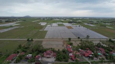 Kedah, Malezya 'nın Paddy Pirinç Tarlaları