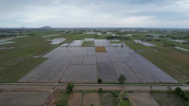 Kedah, Malezya 'nın Paddy Pirinç Tarlaları