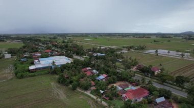 Kedah, Malezya 'nın Paddy Pirinç Tarlaları
