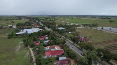 Kedah, Malezya 'nın Paddy Pirinç Tarlaları