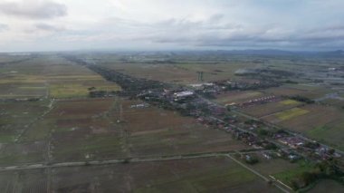 Kedah, Malezya 'nın Paddy Pirinç Tarlaları