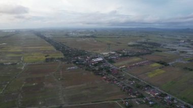 Kedah, Malezya 'nın Paddy Pirinç Tarlaları
