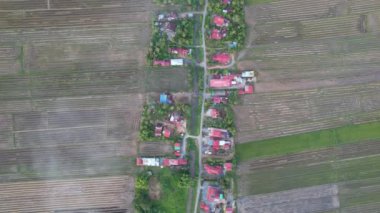 Kedah, Malezya 'nın Paddy Pirinç Tarlaları