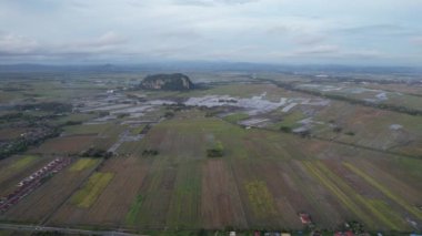 Kedah, Malezya 'nın Paddy Pirinç Tarlaları