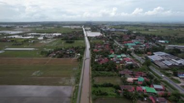 Kedah, Malezya 'nın Paddy Pirinç Tarlaları