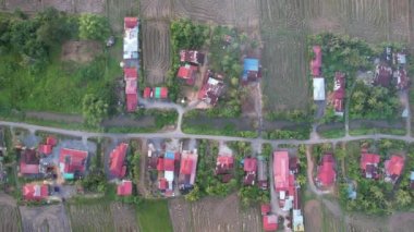 Kedah, Malezya 'nın Paddy Pirinç Tarlaları