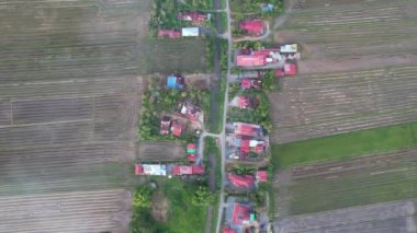 Kedah, Malezya 'nın Paddy Pirinç Tarlaları