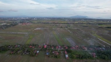 Kedah, Malezya 'nın Paddy Pirinç Tarlaları