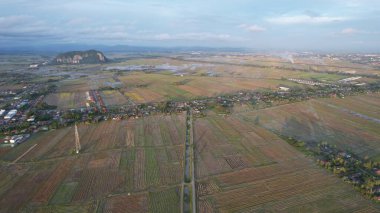 Kedah, Malezya 'nın Paddy Pirinç Tarlaları