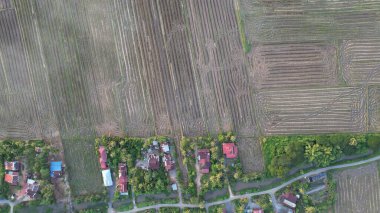 Kedah, Malezya 'nın Paddy Pirinç Tarlaları