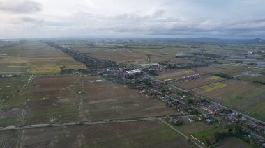 Kedah, Malezya 'nın Paddy Pirinç Tarlaları