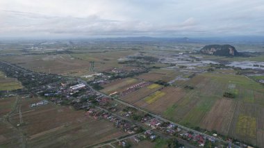 Kedah, Malezya 'nın Paddy Pirinç Tarlaları