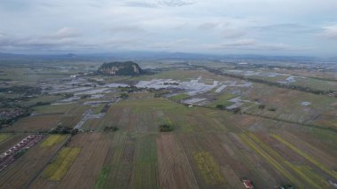 Kedah, Malezya 'nın Paddy Pirinç Tarlaları