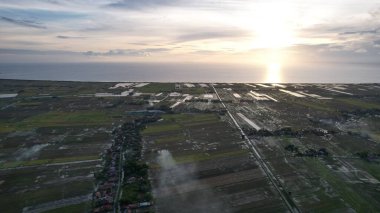 Kedah, Malezya 'nın Paddy Pirinç Tarlaları