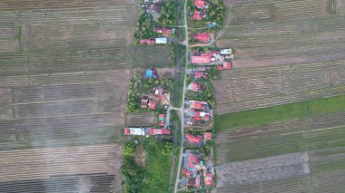 Kedah, Malezya 'nın Paddy Pirinç Tarlaları