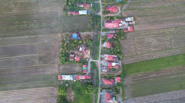Kedah, Malezya 'nın Paddy Pirinç Tarlaları