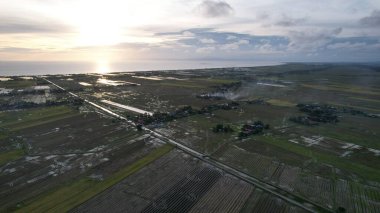 Kedah, Malezya 'nın Paddy Pirinç Tarlaları