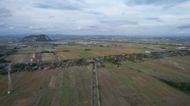 Kedah, Malezya 'nın Paddy Pirinç Tarlaları