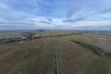 Kedah, Malezya 'nın Paddy Pirinç Tarlaları