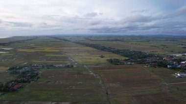 Kedah, Malezya 'nın Paddy Pirinç Tarlaları