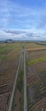 Kedah, Malezya 'nın Paddy Pirinç Tarlaları