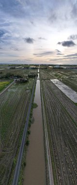 Kedah, Malezya 'nın Paddy Pirinç Tarlaları