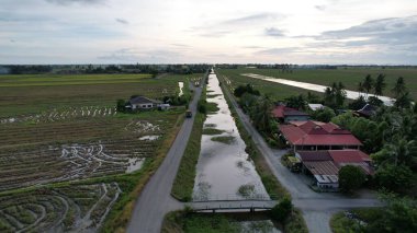 Kedah, Malezya 'nın Paddy Pirinç Tarlaları